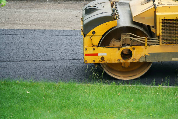 Best Driveway Repair Near Me  in Cheyenne, WY